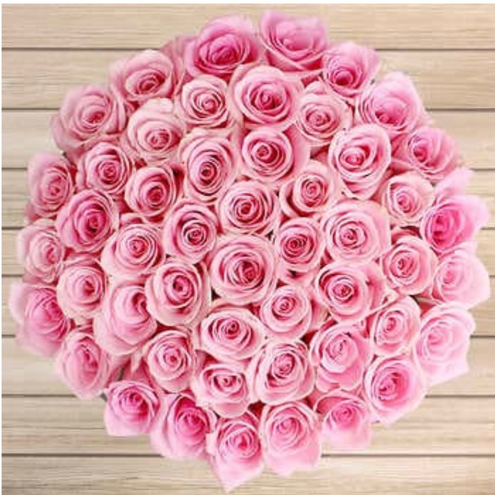 Meet your Posher, Dianna